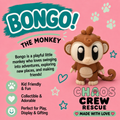 Meet Bongo