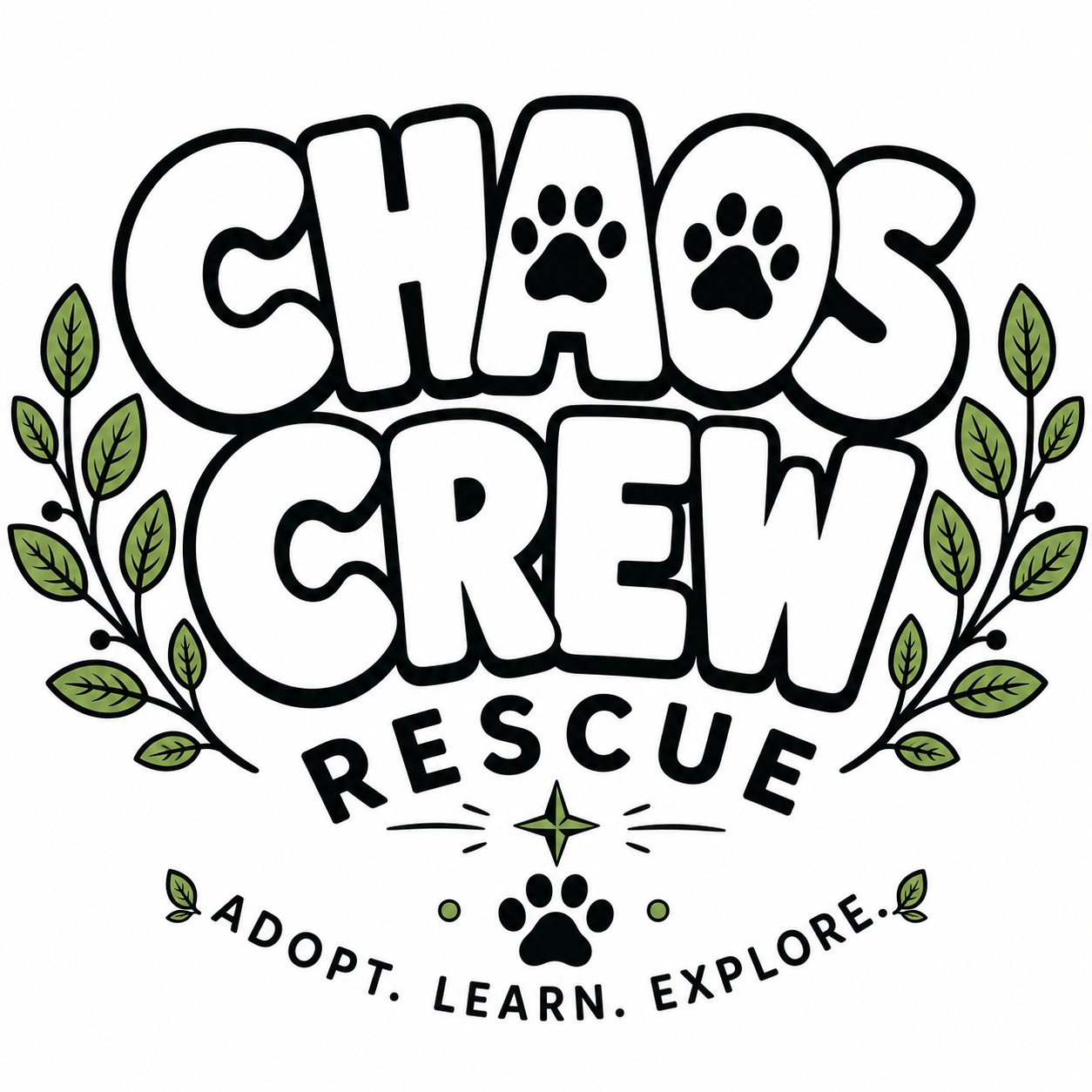 Chaos Crew Rescue 