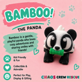 Meet Bamboo