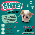 Meet Shye