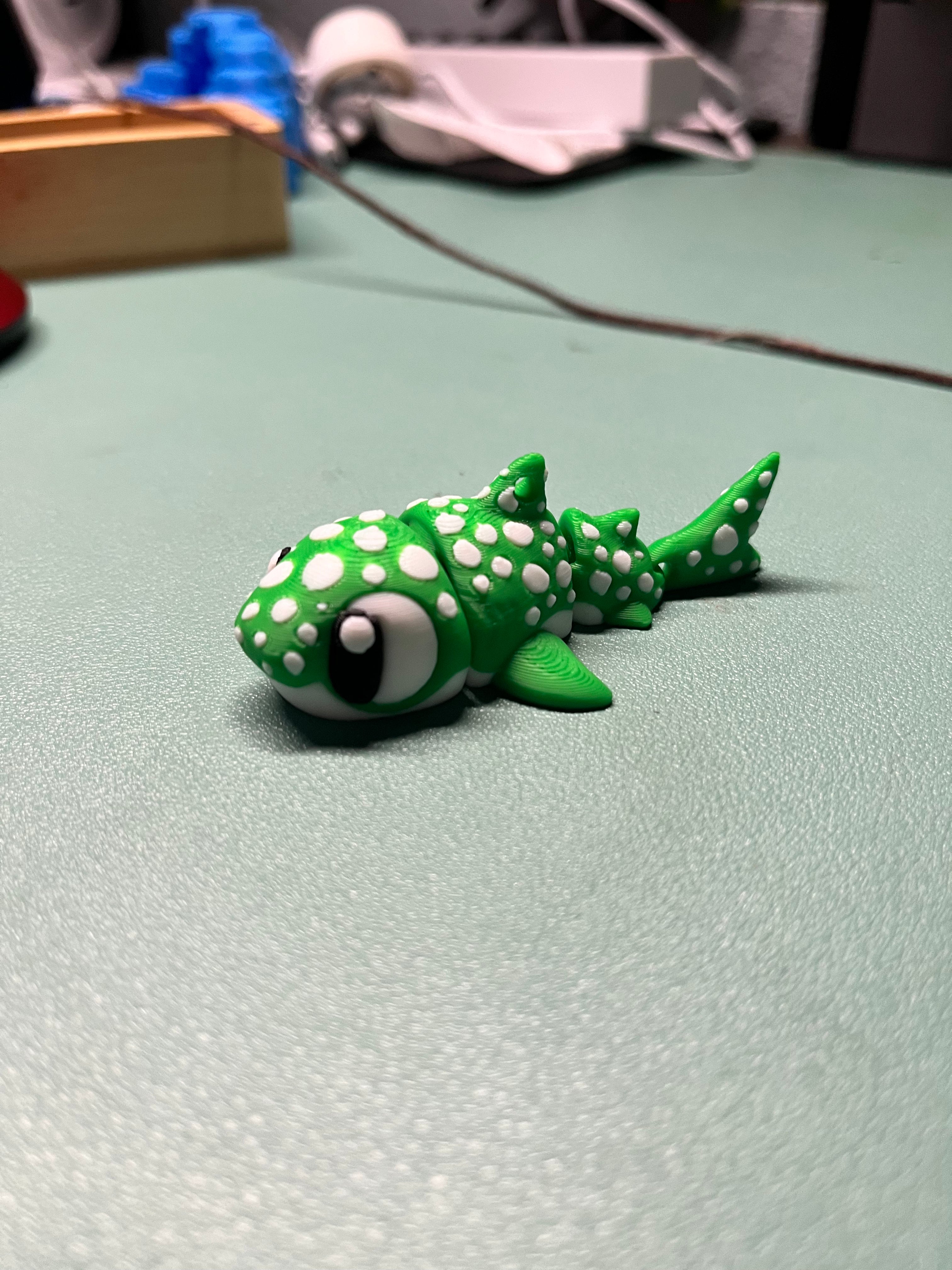 Meet spot! 🦈💚