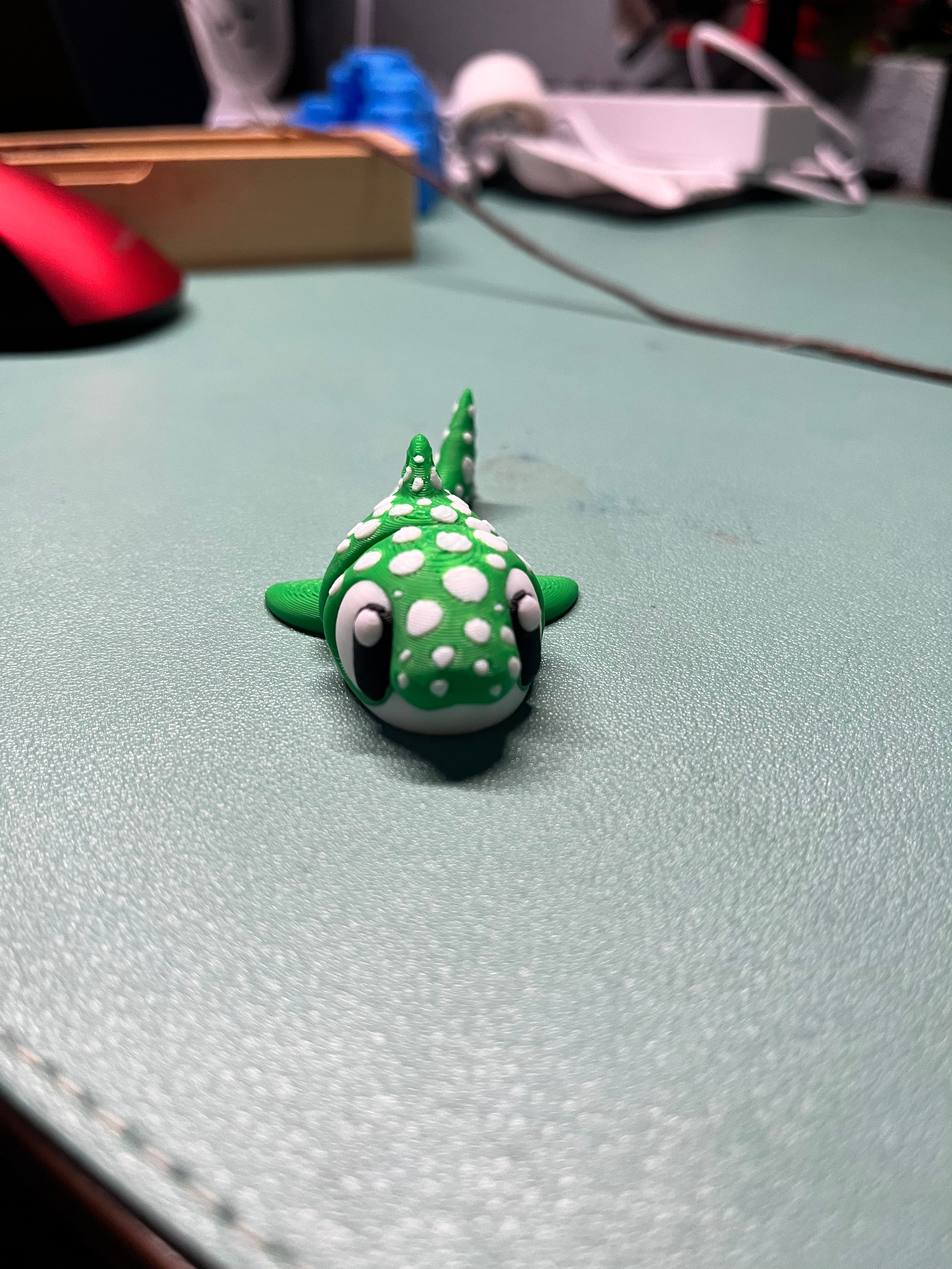 Meet spot! 🦈💚