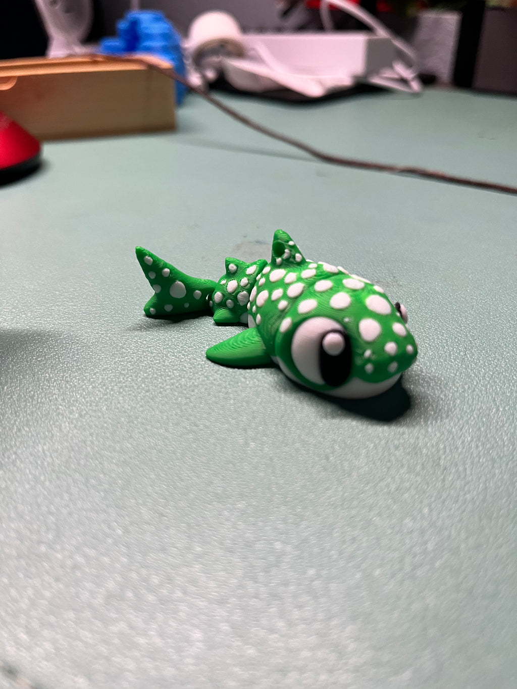 Meet spot! 🦈💚