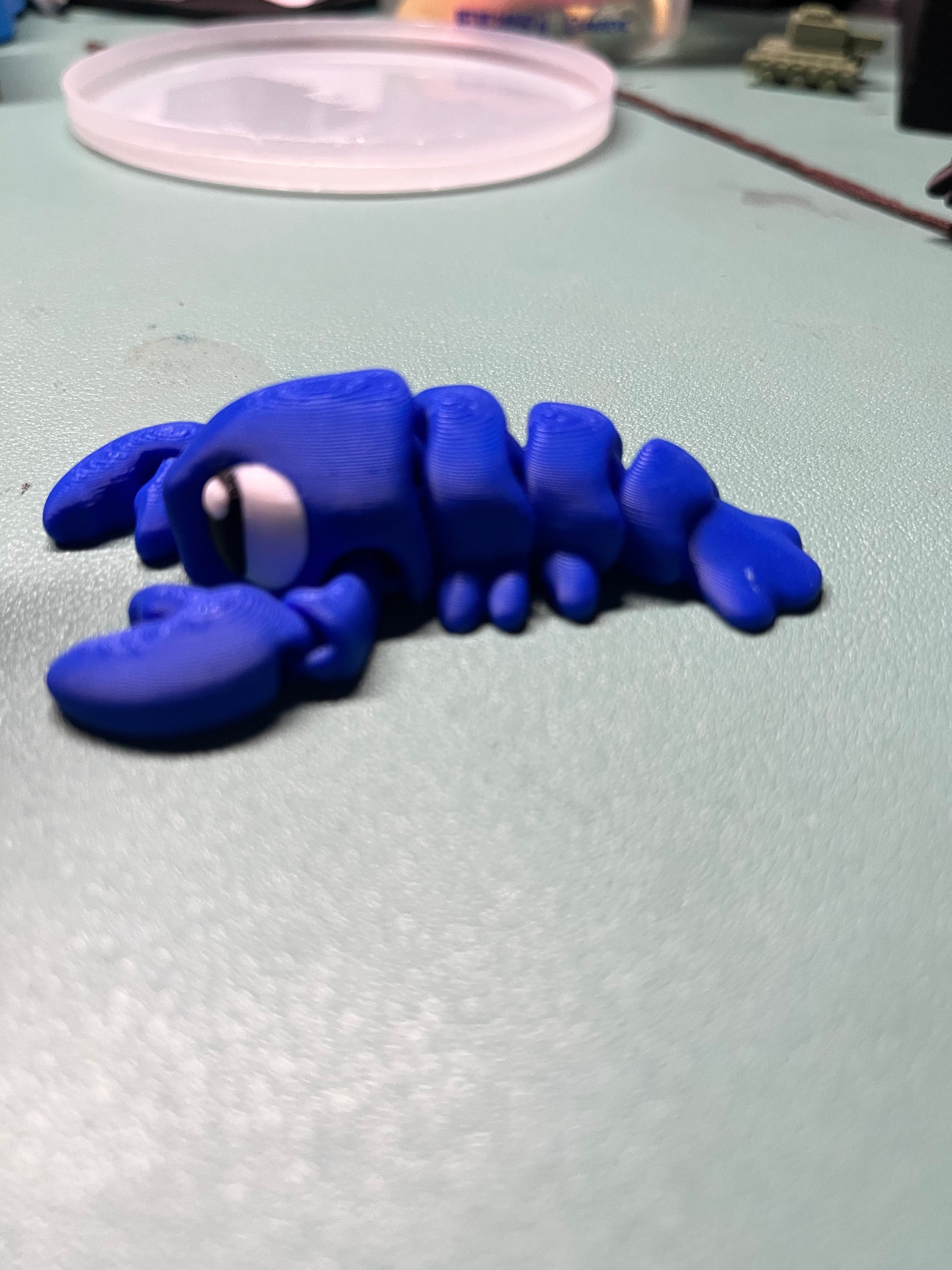 💙 Colbalt the Blue Lobster