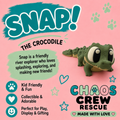 Meet Snap!