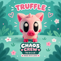 Meet Truffle